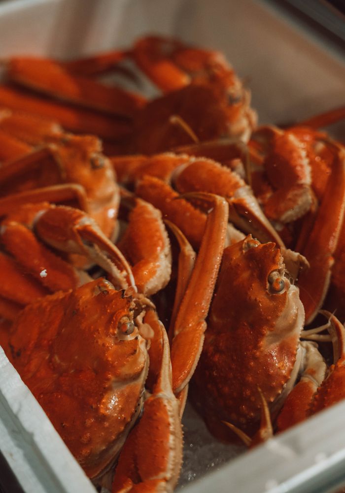 Close-up of fresh crabs at a Japanese market, showcasing vibrant details and authenticity.