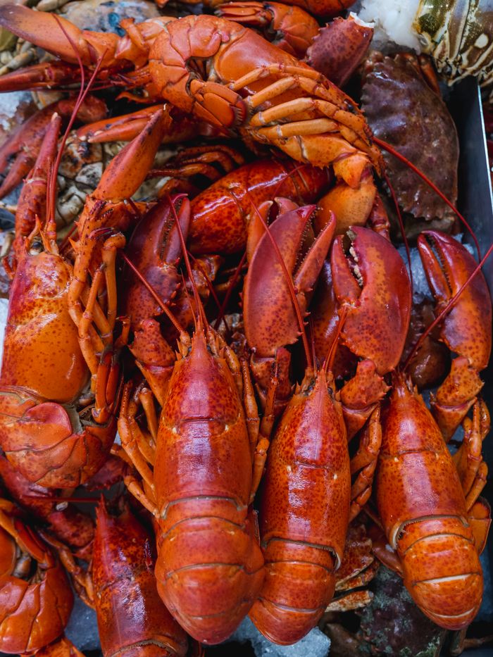 Bright and vivid seafood assortment featuring fresh lobsters and crabs.